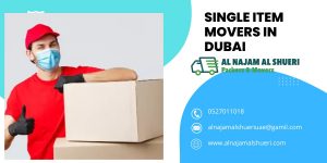 Single Item Movers In Dubai