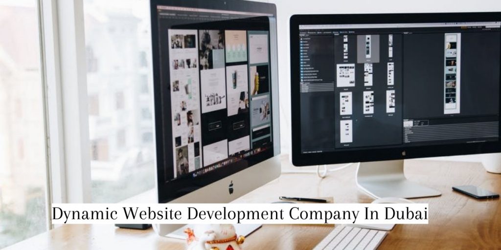 Dynamic Website Development Company In Dubai